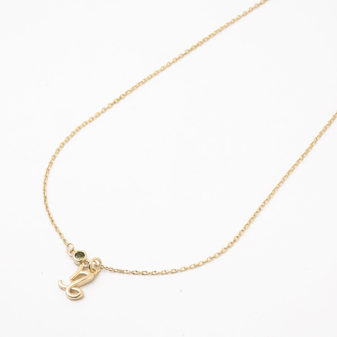 Gargantilla Signo Leo Chapa