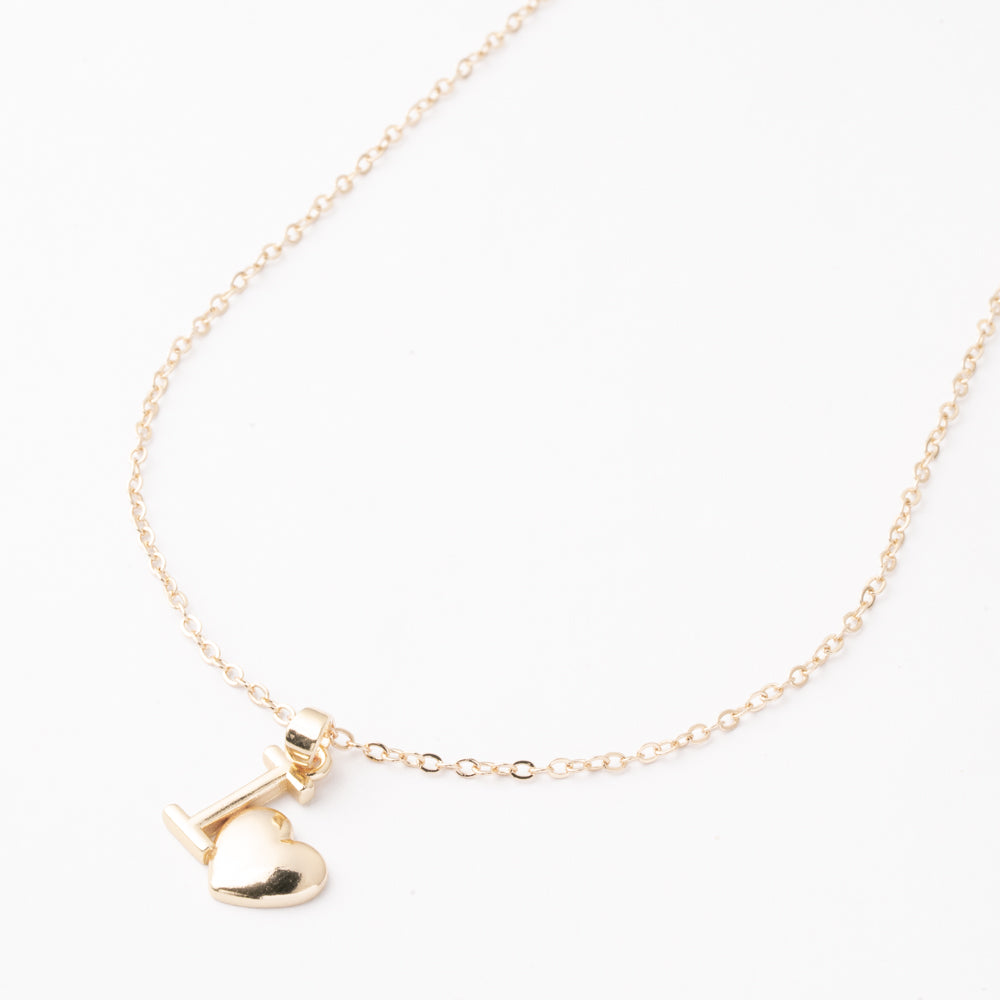 Gargantilla Declaración Chapa