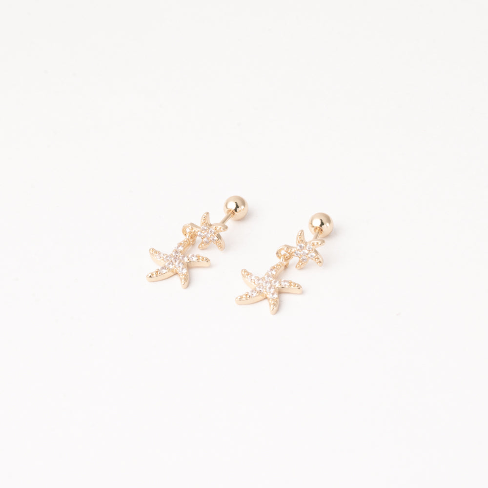 Broquel Estrella de Mar Chapa