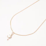 Gargantilla Alba Brillante Chapa