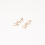 Broquel Estrella de Mar Chapa