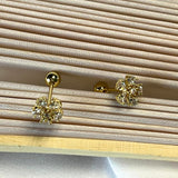 Arete Flor de Luz Chapa